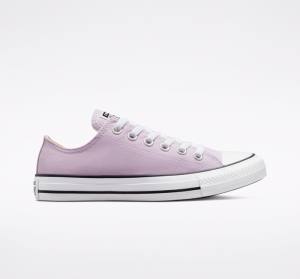 Converse Chuck Taylor All Star Seasonal Color Düz Taban Ayakkabı Lavanta | CV-165OAT